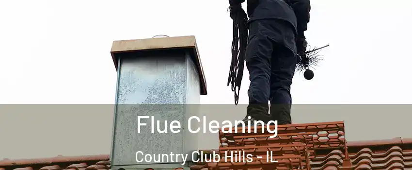  Flue Cleaning Country Club Hills - IL