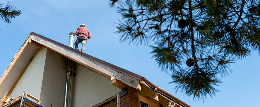 Birds Removal Contractors from Chimney in Country Club Hills, IL