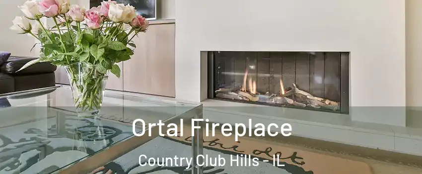  Ortal Fireplace Country Club Hills - IL